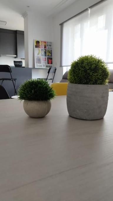 Apartamento En Foz. Primera Linea Playa Rapadoira Dış mekan fotoğraf